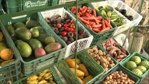 QUALIDADE: MPF recomenda que 223 municípios paraibanos comprem produtos da agricultura familiar para merenda escolar