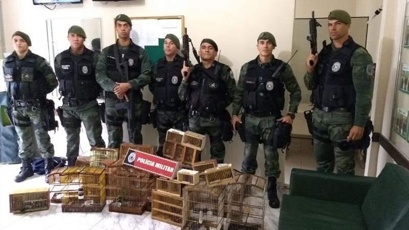 Polícia Ambiental realiza operação "Voo Livre" e apreende aves silvestres nas feiras livres de João Pessoa e Campina Grande