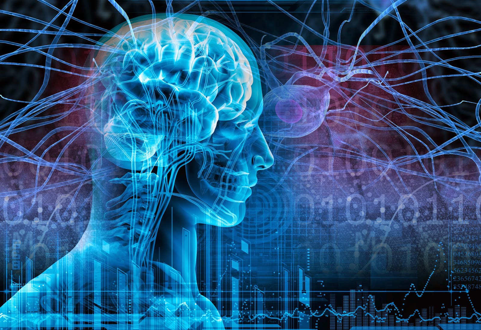 Associação dos Portadores de Epilepsia realiza congresso em João Pessoa