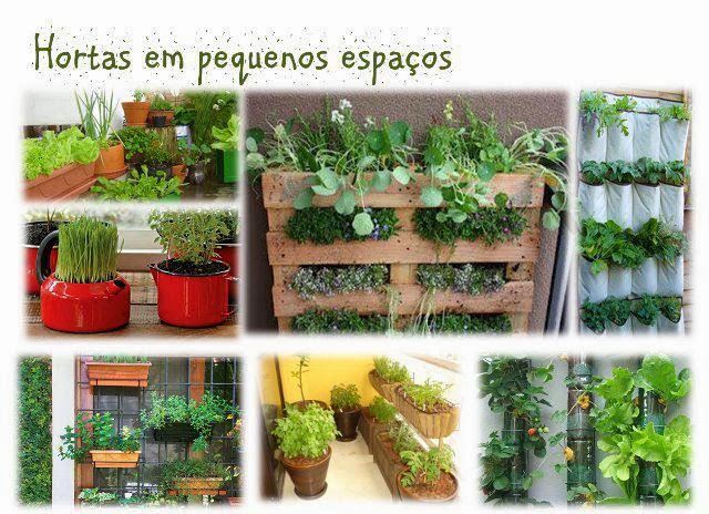 Projeto Germinar realiza oficina de horta orgânica em parceria com o Sebrae, nesta sexta