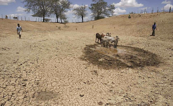 Comissão do Senado pode votar na terça criação de fundo para combater efeitos da seca no Nordeste