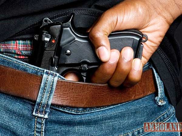 Maioria dos brasileiros quer mudaças no Estatuto do Desarmamento , revela pesquisa