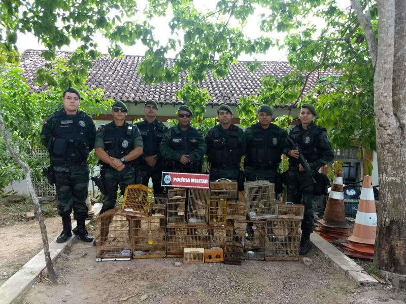 Homem é detido e condenado a pagar R$ 3,5 mil ao ser flagrado vendendo papa-capim na feira livre de Santa Rita