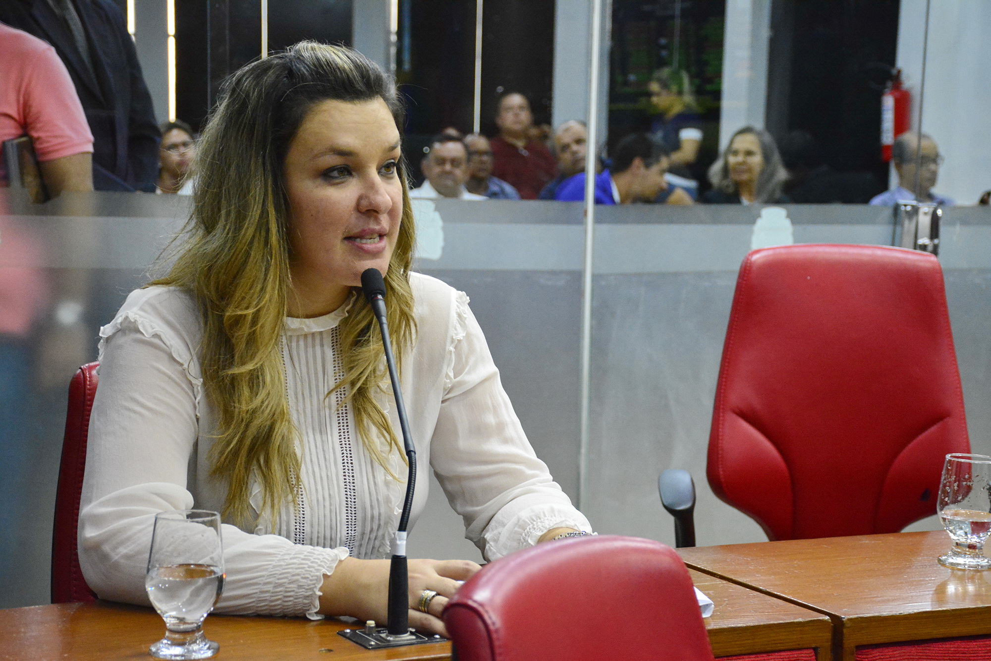 Camila Toscano diz que emenda que criou Lei da guarda particular não passou pela CCJ