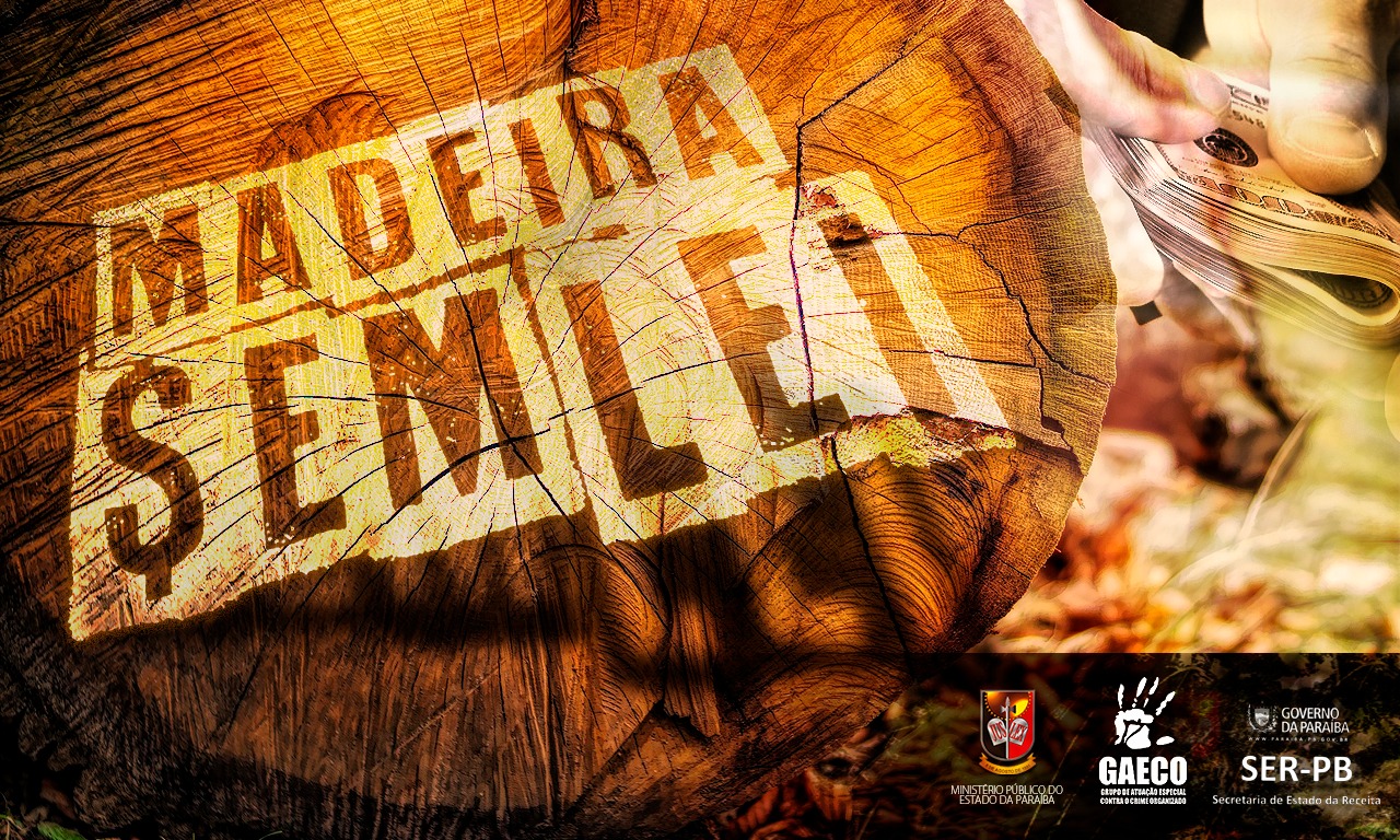 GAECO realiza “Operação Madeira sem lei” e desarticula esquema que causou R$ 3 mi de prejuízos aos cofres públicos