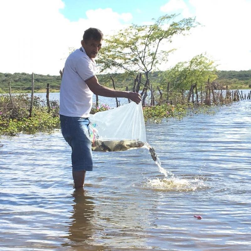 Emepa realiza distribuição de alevinos para o peixamento de açudes no Cariri Paraibano