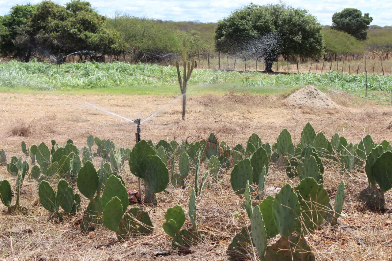 Termina nesta sexta prazo para produtor rural declarar ITR