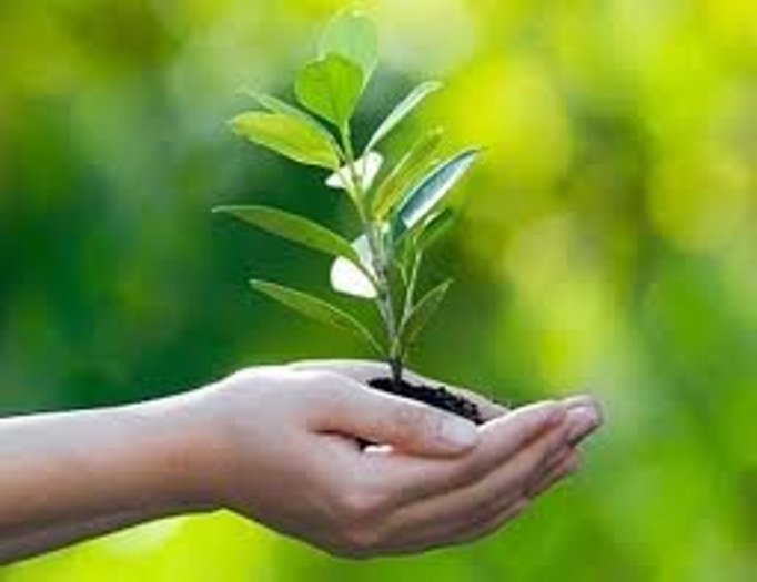 Fusão da Emater, Interpa e Emepa vai gerar economia de R$ 26 milhões aos cofres do Estado sem afetar serviços das empresas extintas, afirma governo