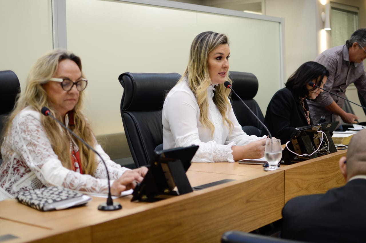 Comissão dos Direitos da Mulher da AL-PB debate atendimento humanizado para gestante e prioridade no atendimento de vítima de violência