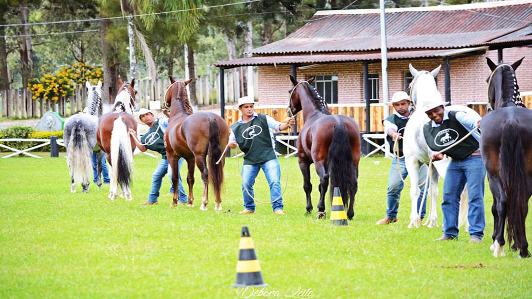 EXPAPI: Começa neste domingo 52ª Exposição Paraibana de Animais em CG