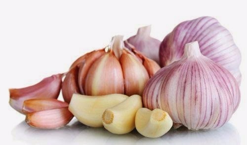 SAÚDE: Alho é 100 vezes mais eficaz contra Bactérias do que Antibióticos, revela pesquisa