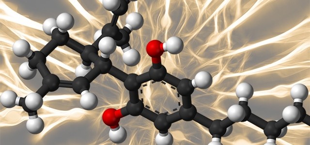 Canabidiol diminui agressividade induzida pelo isolamento social, conclui estudo