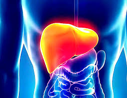 Paraíba ocupa o 5º lugar no Nordeste em casos de Hepatites Virais e hepatologista alerta para diagnóstico