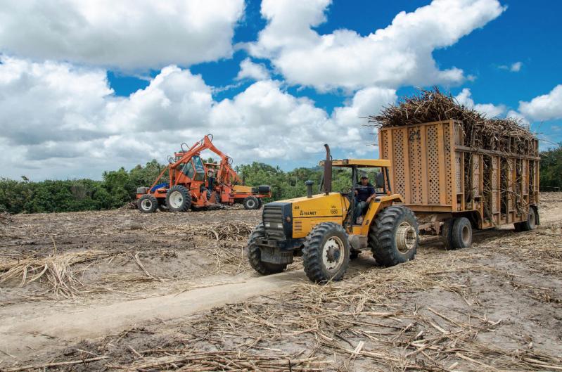 Asplan-PB faz estimativa que safra 2019/2020 de cana-de-açúcar deve superar seis milhões de toneladas