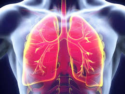 Estado da IARC revela que tem aumentado progressivamente o número de mulheres afetadas pelo câncer de pulmão