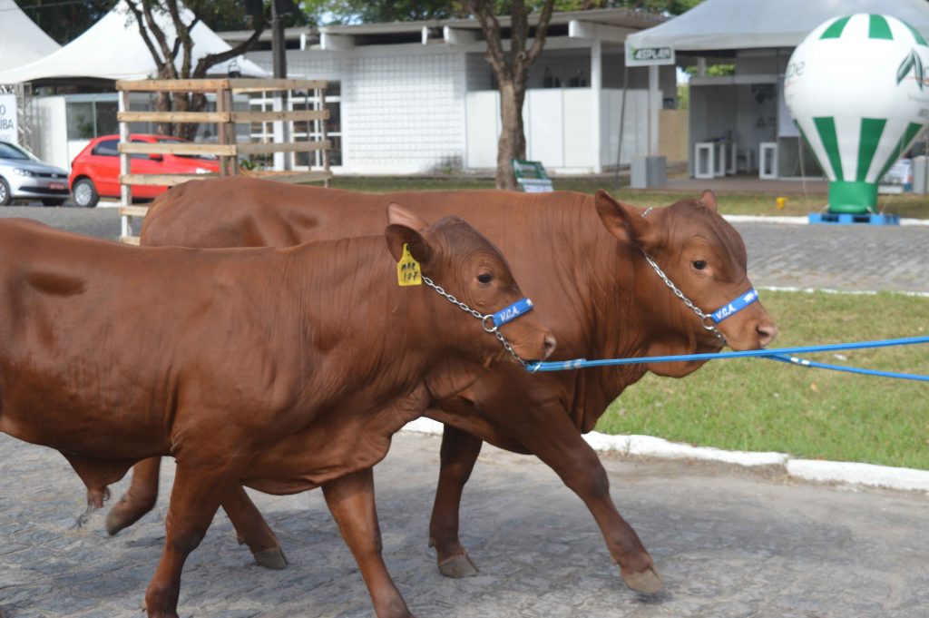 COMERCIALIZAÇÃO: Governador João e secretário Efraim abrem 52ª Edição da Expofeira Paraíba Agronegócios, neste domingo