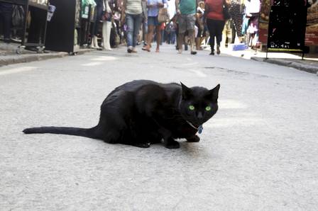 Primeira sexta-feira 13 do ano com noite de lua cheia pode ser perigosa, alerta taróloga
