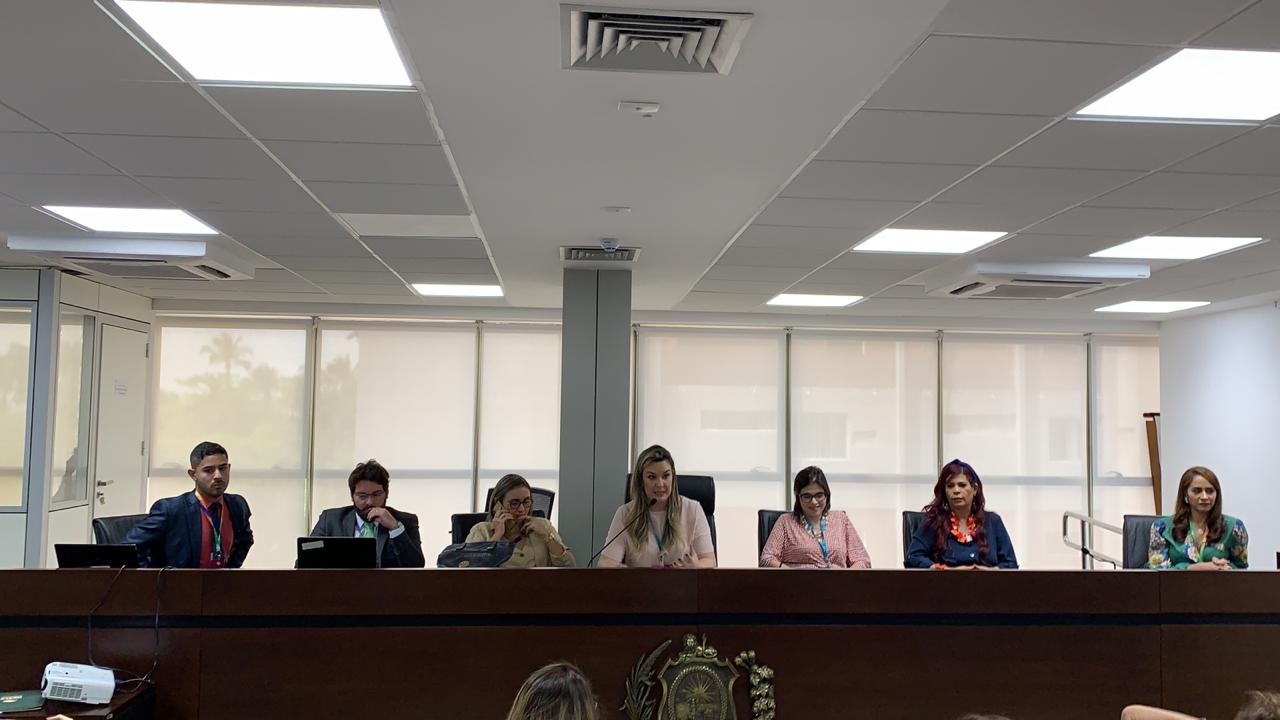 EM RECIFE: Camila coordena discussão sobre violência contra a mulher e defende união das Assembleias Legislativas no combate ao feminicídio
