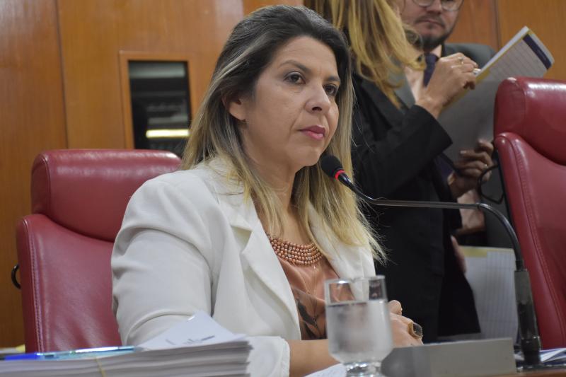 Câmara de João Pessoa aprova PL de Eliza Virginia que prevê normas de segurança nas escolas