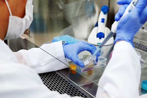 DESCOBERTA: Cientistas americanos e alemães identificam anticorpos capazes de bloquear infecção pela Covid-19