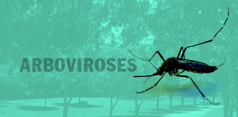 SERVIÇOS: Saúde promove ‘Dia D’ de combate ao Aedes, nesta sexta-feira, em Campina Grande