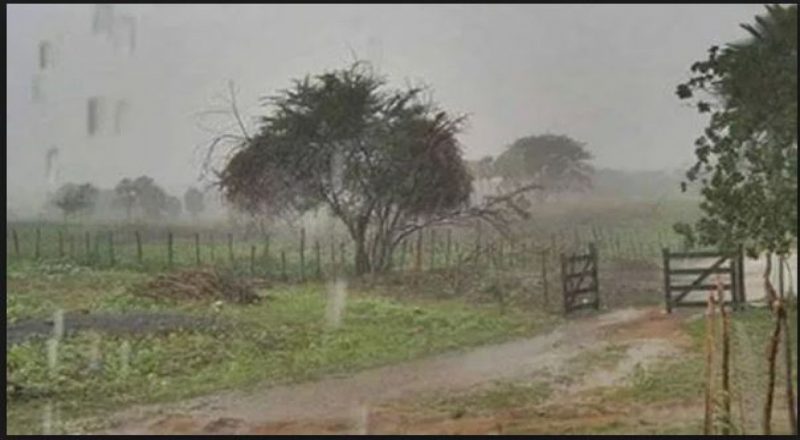 SERTÃO MOLHADO: 2020 chega com registro de fortes chuvas em Sousa, Uiraúna, Cajazeiras, Conceição e em vários outros municípios do interior da Paraíba