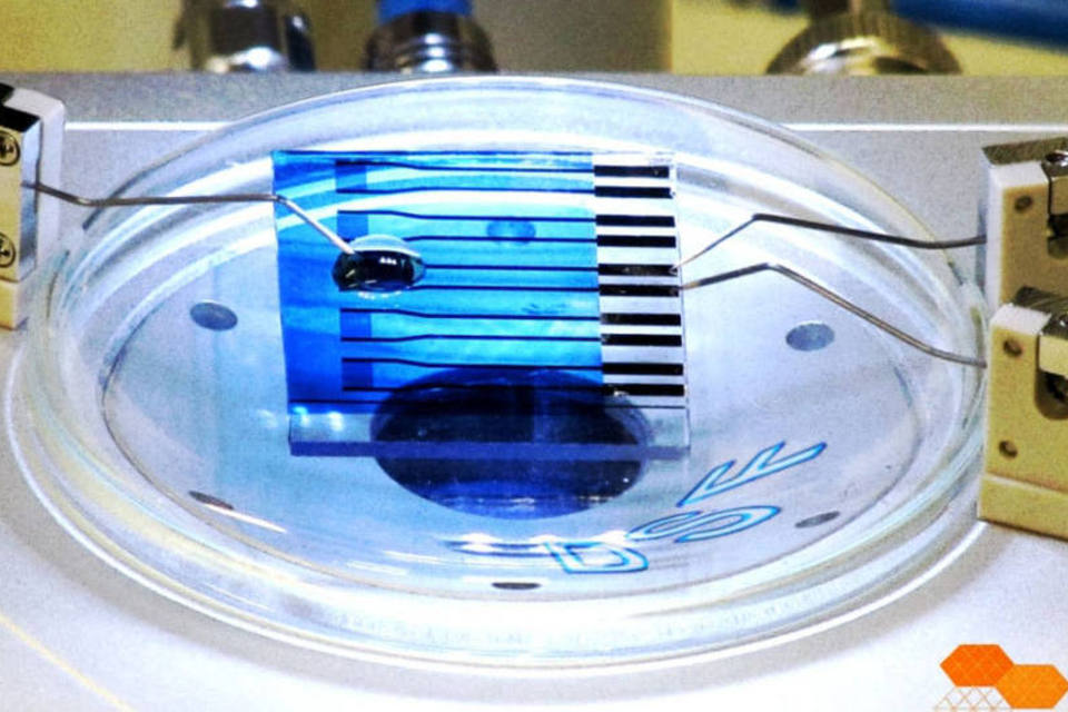 USP de São Carlos desenvolve biossensor que identifica câncer de próstata em 1 hora