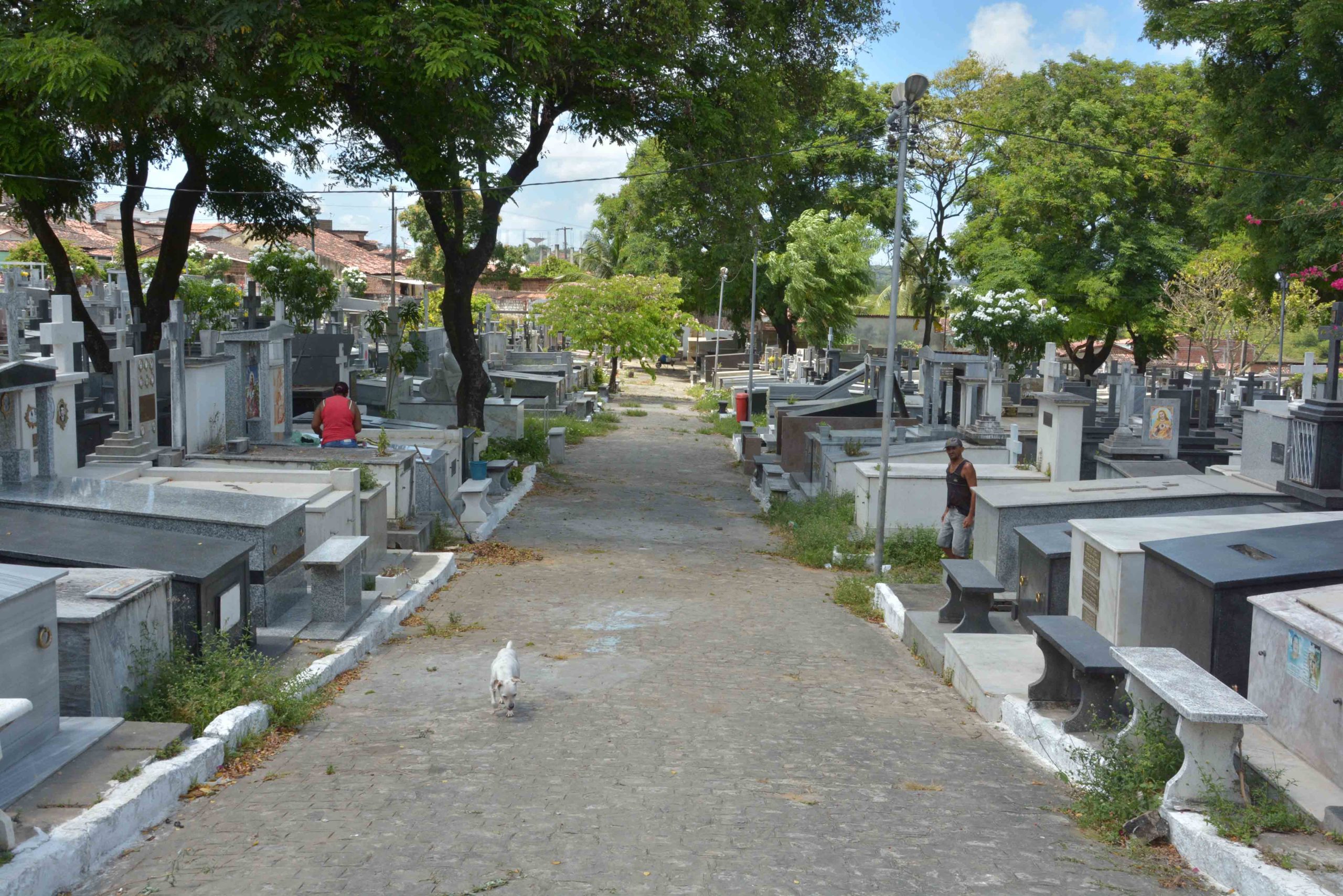 Prefeitura de João Pessoa suspende velórios e determina que sepultamento deve acontecer imediatamente