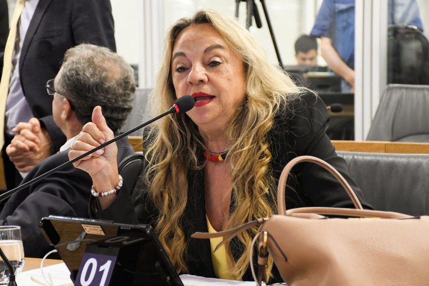 ALPB aprova requerimento da deputada  Drª Paula e vai realizar sessão especial para debater voo comercial para o Alto Sertão