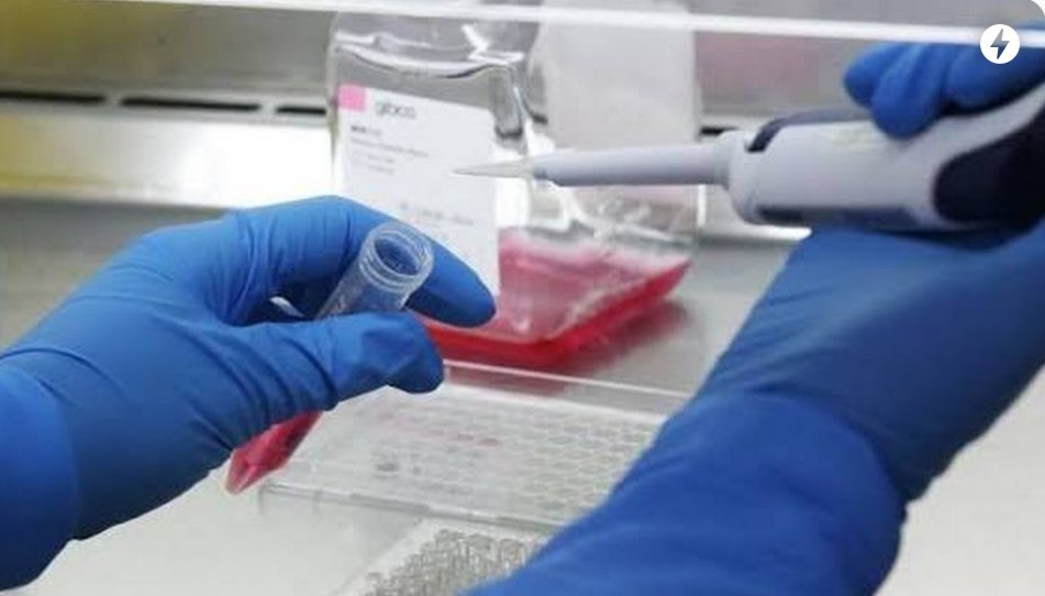 CORONAVÍRUS: Boletim da Secretaria de Saúde da Paraíba divulgado neste domingo registra 284 novos casos de Covid-19 e 11 óbitos