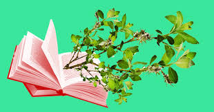 Editora Arribaçã lança Concurso de Poesia; inscrições vão até o dia 31 de julho