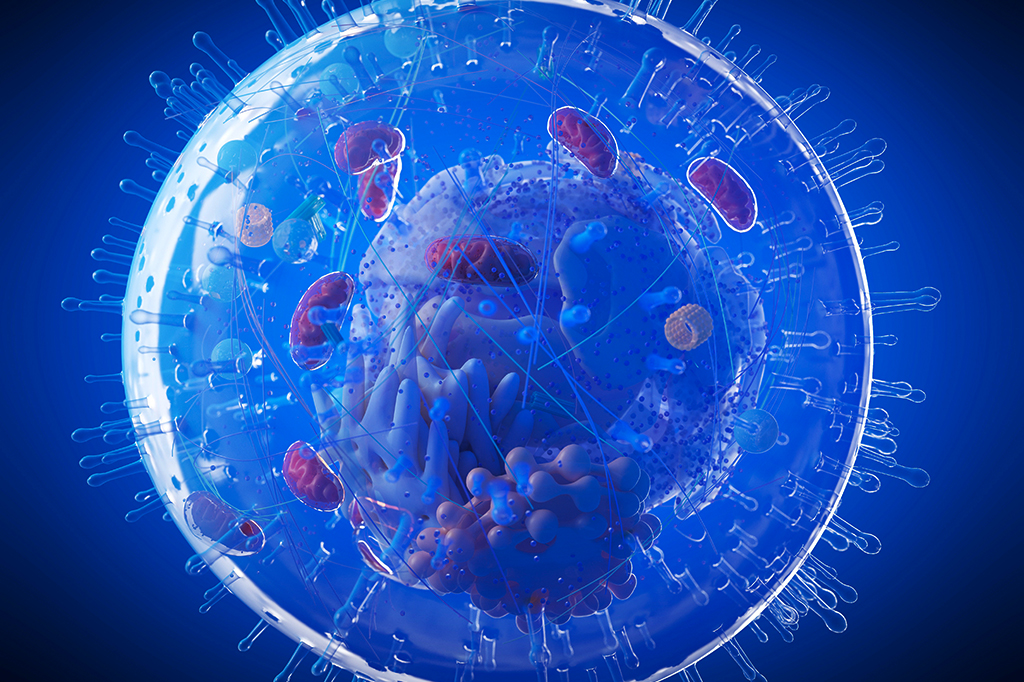 BOLETIM: Com ocupação de UTIs em 20%, Paraíba registra 04 novos óbitos nesta sexta-feira