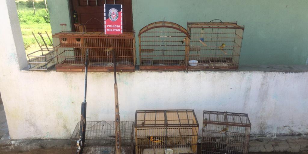 Polícia Militar da Paraíba apreende armas de fogo e aves silvestres no município Barra de Santana, no Cariri paraibano