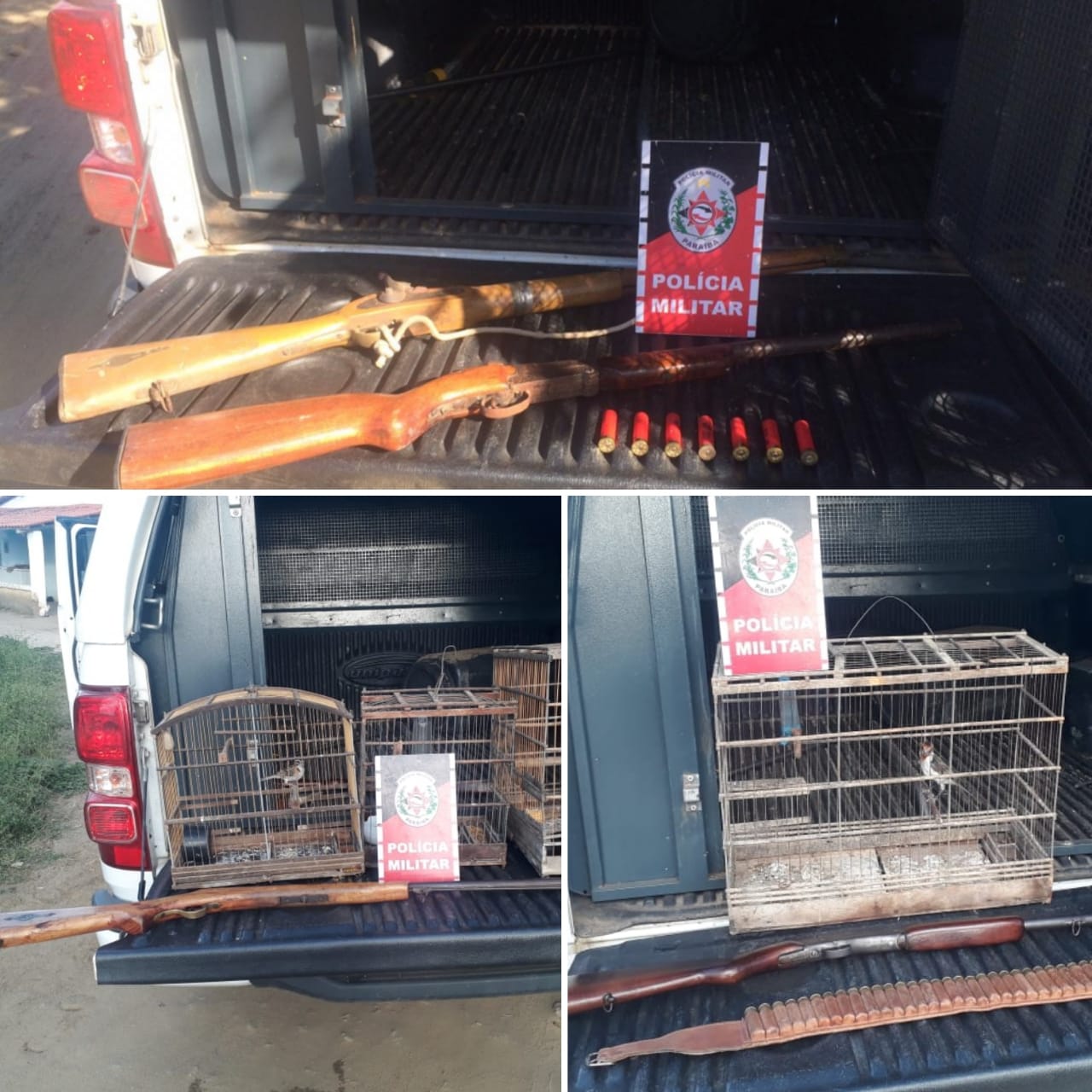 Polícia apreende armas de fogo e aves criadas em cativeiro no município de Queimadas
