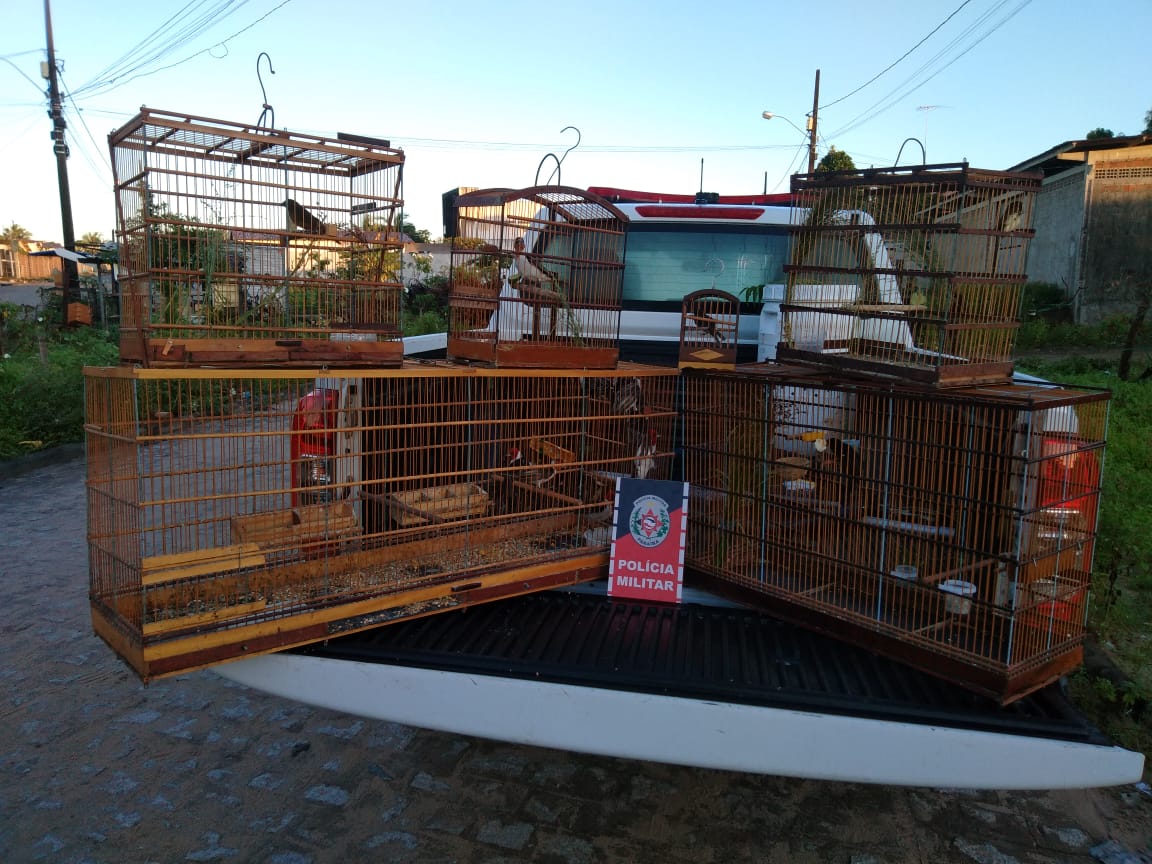 Polícia Ambiental prende traficante de aves silvestres no bairro de Mangabeira, em João Pessoa