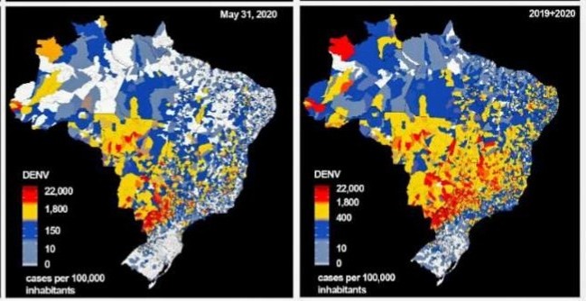 Pesquisa brasileira aponta correlação de que pessoas que tiveram dengue pode ter adquirido proteção contra o novo coronavírus