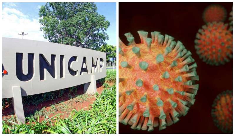 ANOSMIA: Estudo comprova presença do coronavírus no cérebro de pacientes