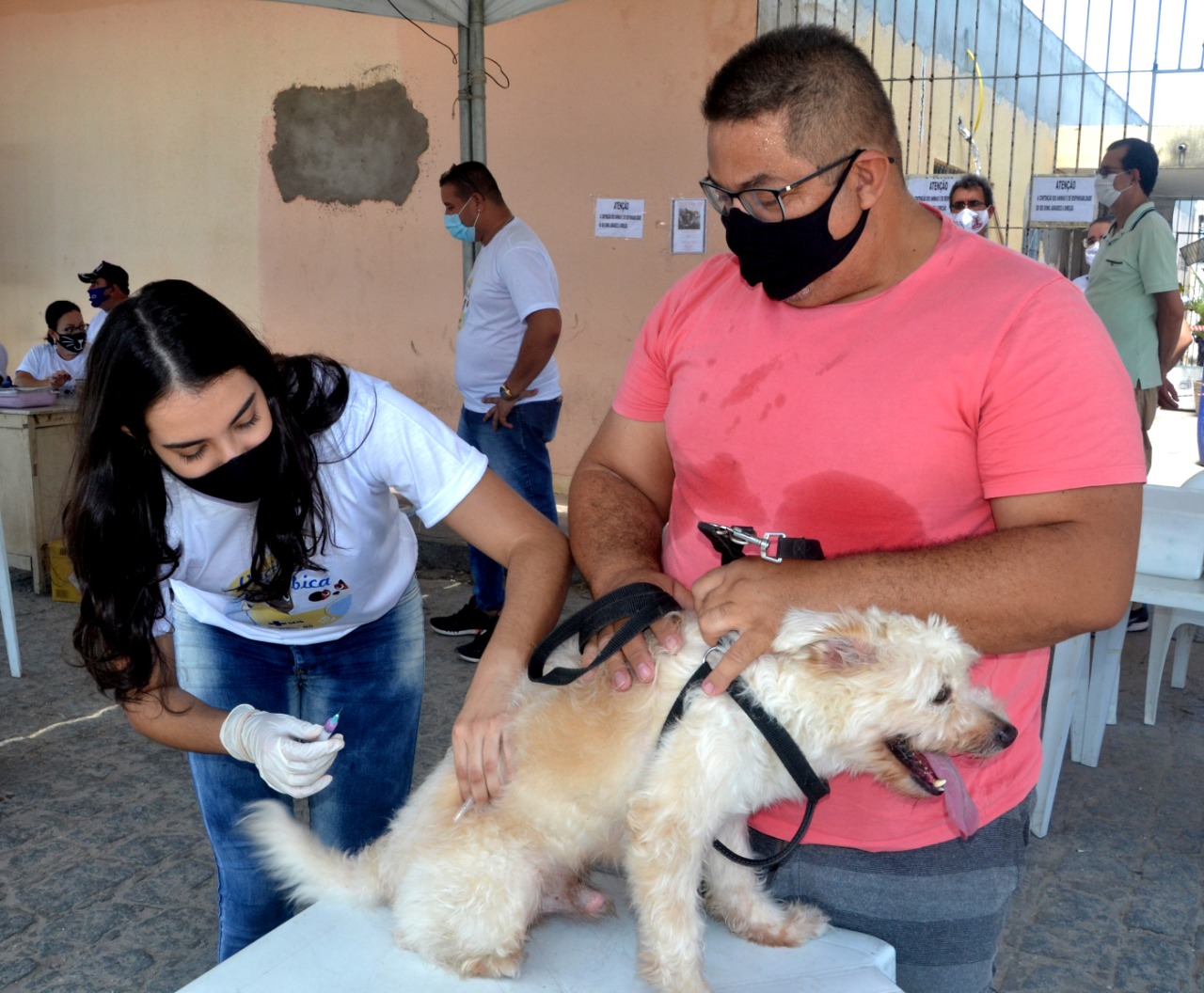 Saúde de João Pessoa anuncia prorrogação por mais 30 dias da campanha de vacinação antirrábica