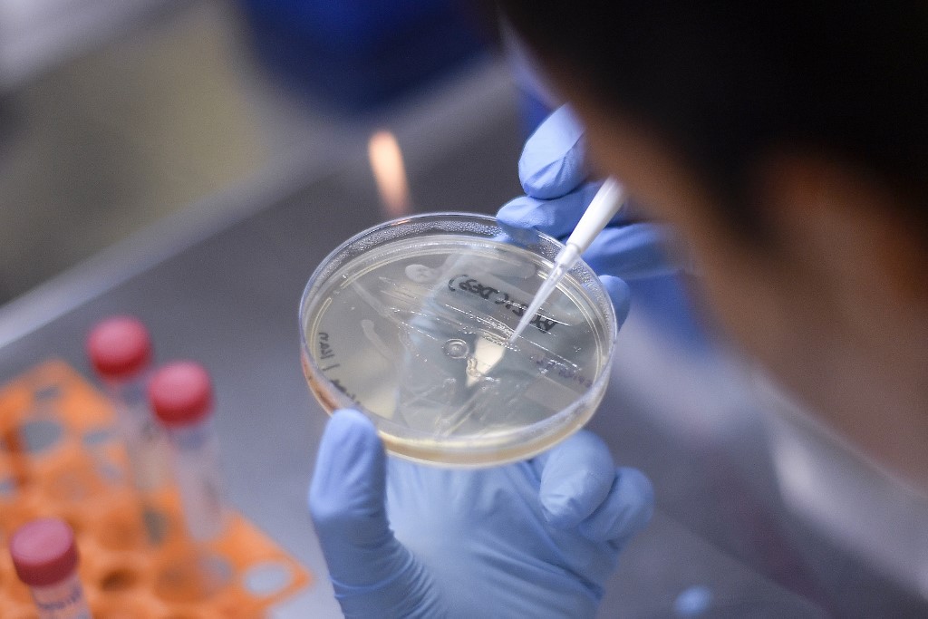 (FILES) In this file photo taken on March 26, 2020 a researcher works on the development of a vaccine against the new coronavirus COVID-19, in Belo Horizonte, state of Minas Gerais, Brazil. - The Brazilian National Health Vigilance Agency (Anvisa) announced on December 2, 2020 that the criteria for the approval of the use of emergency vaccines against COVID-19 in the country were defined. (Photo by DOUGLAS MAGNO / AFP)