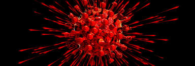 BOLETIM: Com 19 novos óbitos confirmados, Paraíba registra 1.002 novos casos de Covid-19 neste domingo