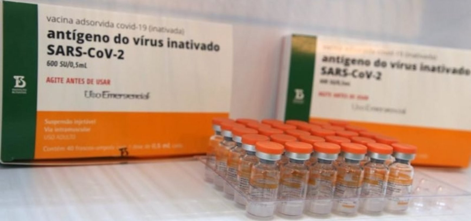 João Pessoa recebe doses de CoronaVac e volta a imunizar crianças de 3 e 4 anos de idade contra a Covid-19