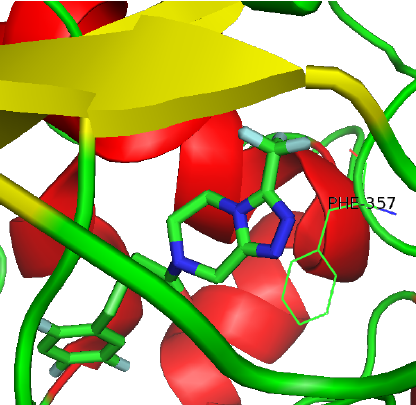 FIQUE SABENDO: Estudo indica um dos fatores que tornam nova variante do coronavírus mais contagiosa