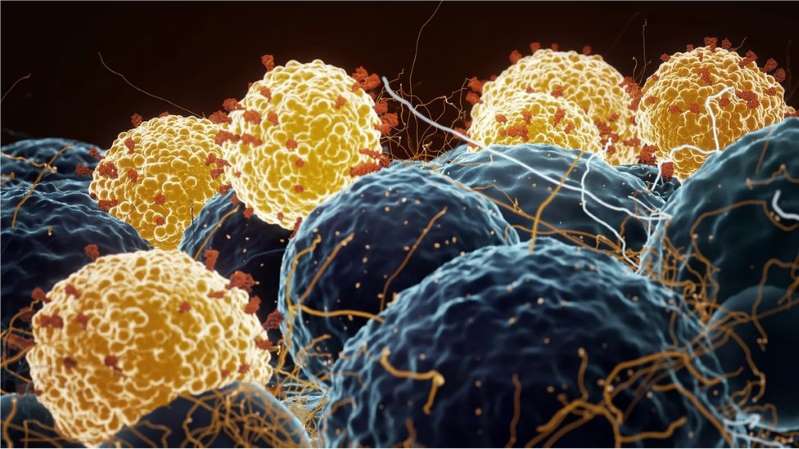 Em meio a aglomerações de carnaval, Paraíba registra 17 novas mortes por Covid-19