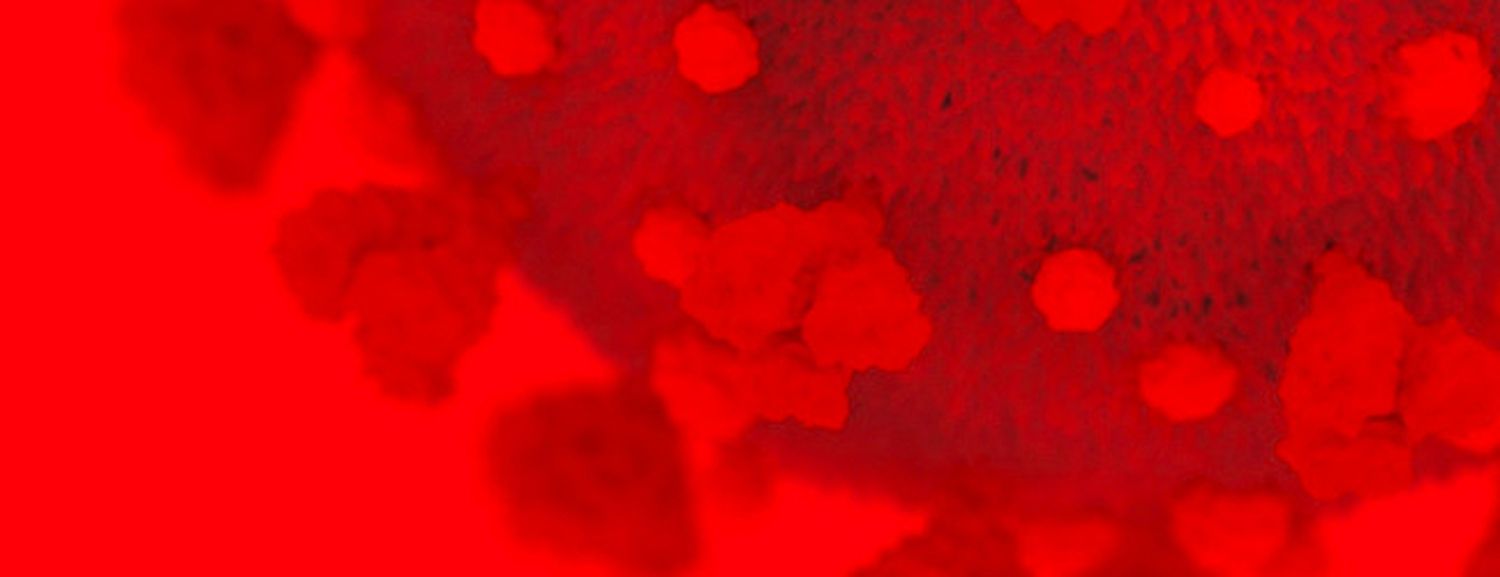 BOLETIM: No 3º dia de comercio, shoppings, bares, restaurantes e outras atividades econômicas fechados, Paraíba registra 968 casos de Covid-19 e 49 óbitos