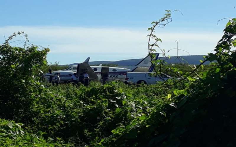 ACREDITE: Na Bahia, avião com doses da vacina da covid bate em jumento que estava na pista
