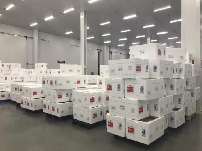 Saúde da Paraíba quer vacinar idosos de 69 a 65 anos com nova remessa de doses de vacinas recebidas neste sábado