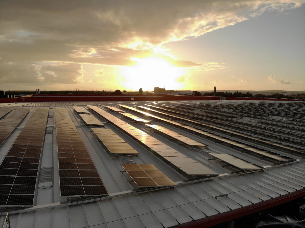 No mês mundial do meio ambiente,  Grupo Ferreira Costa investe em inovação e sustentabilidade