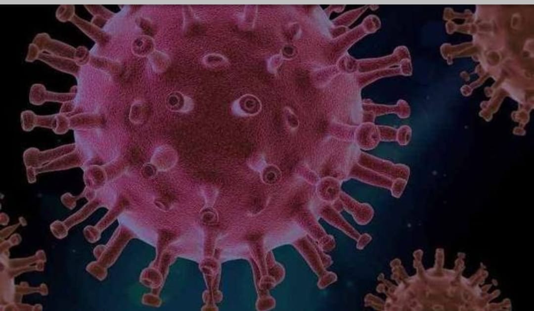 BOLETIM: Sem mortes em JP e CG, Paraíba registra 449 novos casos de Covid-19 e 04 óbitos