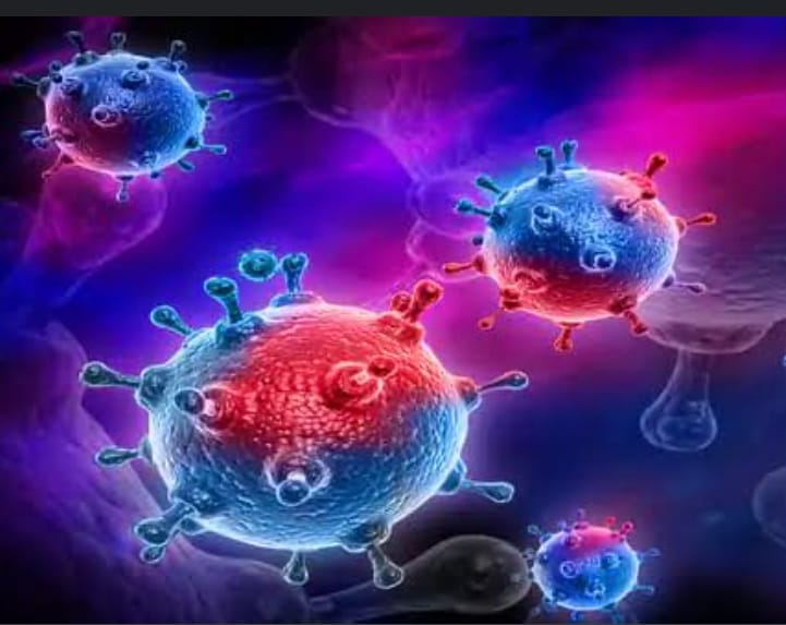 BOLETIM: Com 2 mortes em Sousa, Paraíba registra 04 óbitos por Covid-19 nesta terça-feira