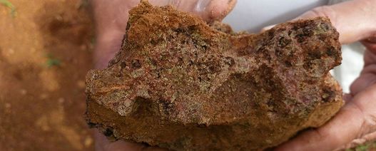 Nos 1000 dias da gestão Bolsonaro, governo federal assina contrato para exploração de fosfato em Alhandra